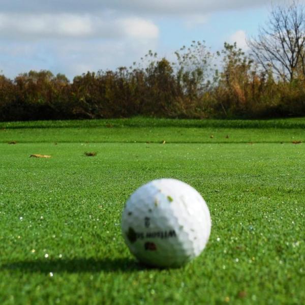 15mm Artificial Grass Putting Green Suitable For House Hotel Place CE SGS Certified
