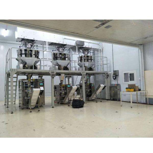 Máquina de empacotamento do alimento do petisco ZH-BL10