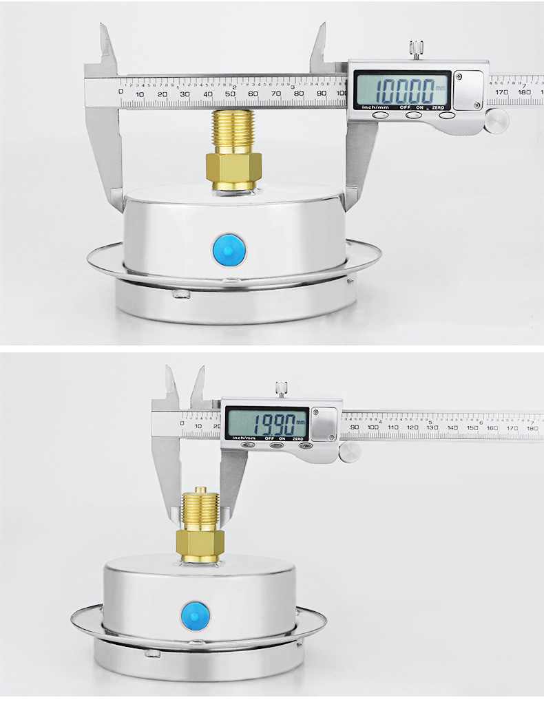 100mm Diaphragm Type 304ss Stainless Steel Back Capsule Pressure Gauge with Flange
