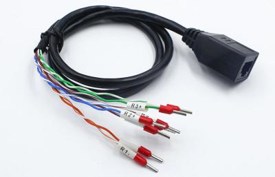 conector fêmea ao frio - cabo terminal pressionado TMCABLE060131 de 8p8c RJ45 do remendo dos ethernet Rj45