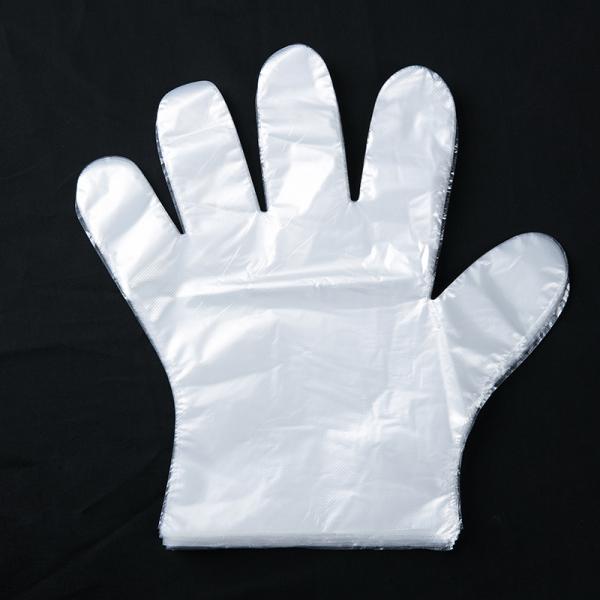 Protective Extra Large Disposable Poly Gloves Powder Free  Easy Donning