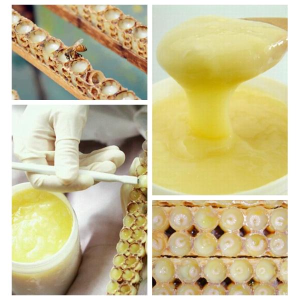 1,4% органический свежий свет королевского студня 10-HDA - желтая естественная еда