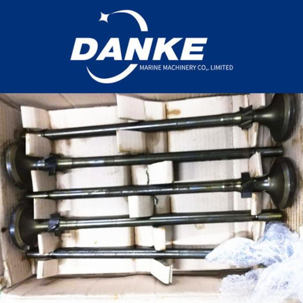 PIELSTICK PC2-5 Marine Main Engine Parts Intake Valve / Exhaust Valve 02.41.58