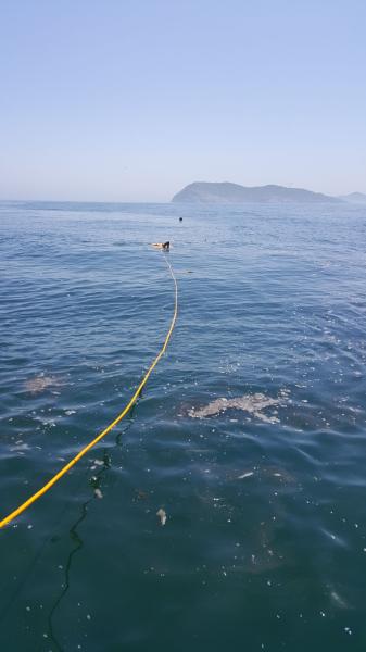 Sea Shells Collection ROV,Underwater Inspection ROV VVL-T1100-6T  4*700 tvl camera 100M Cable