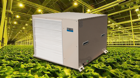 255 Pints Greenhouse Ceiling Mounted Dehumidifier Grow Room Big Capacity Dehumidifier for Indoor Agriculture