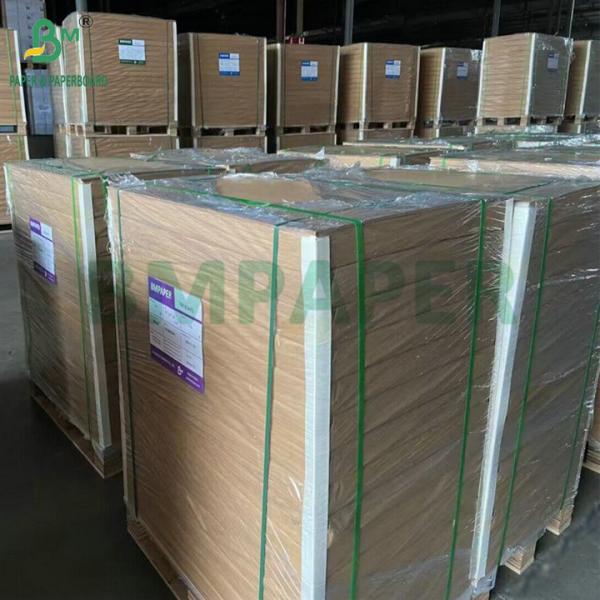 300gsm 350gsm SBS Solid Bleach Sulphate For Making Folding Carton  300 гм 350 гм SBS твердый сульфат отбеливателя для изготовления складной картоны