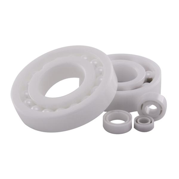 Full Ceramic Ball Bearings / Deep Groove Ball Bearing 12 Months Guarantee