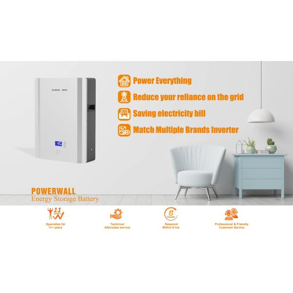Solar ESS Lithium Ion Battery Powerwall 5kwh 51.2V 48V LiFePO4