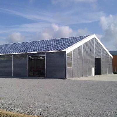 Projeto Industrial Estrutura de aço pré-projetada Armazém para ginásio no local adequado