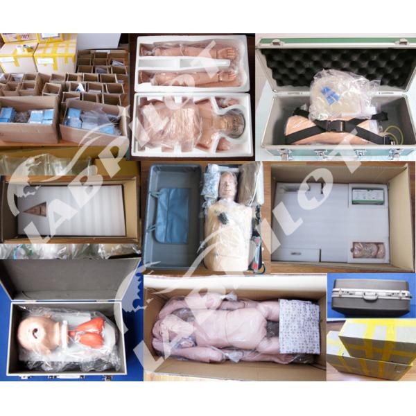 Human Life Size Pregnancy Manikin Auscultation Teaching Simulator for Medical Science