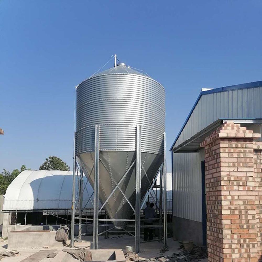 Customizable Galvanized Steel Feed Tower with 3-50 Ton Capacity for Automated Livestock Farming