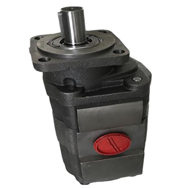 Top- Parker P330 Series Hydraulic Gear Pump for Dump Hoist PGP330 PGP315 PGP350 PGP365