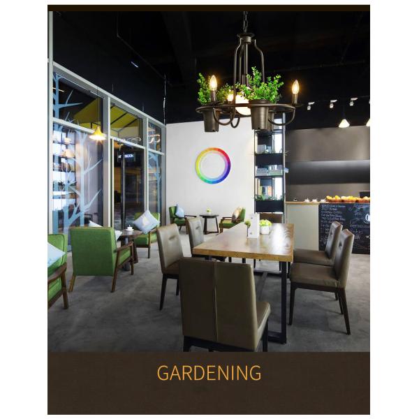Retro Industrial Individual Creative Chandelier Table Sunshine Room Flower Shop light(WH-VP-146)
