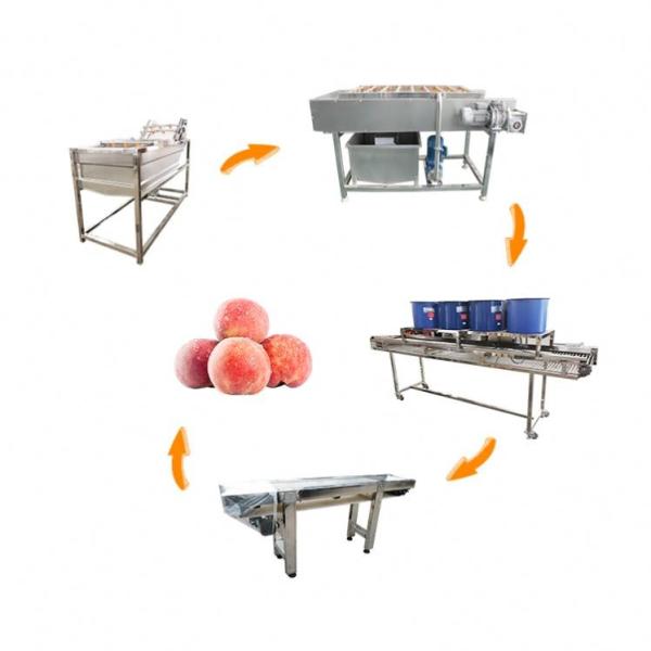 Hot selling The Cheapest Air Bubble Fruit And Vegetable Cleaning Line by Huafood