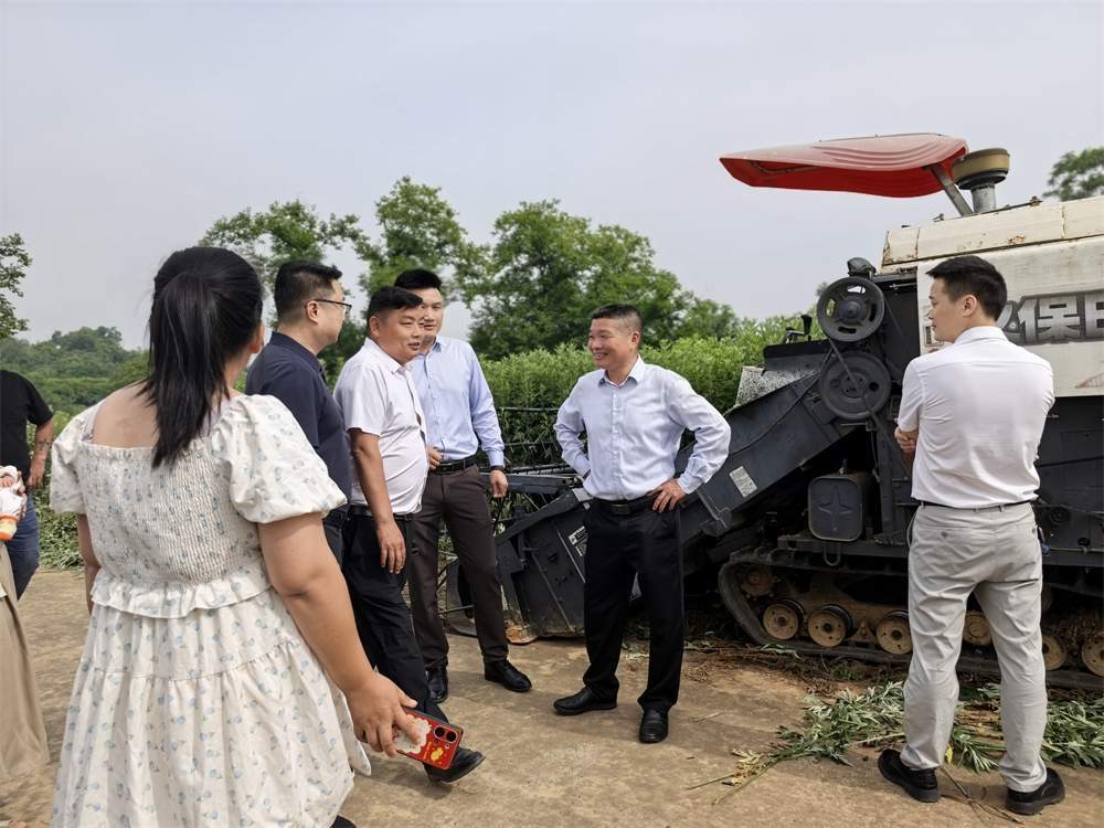 Hubei Yishiyuan Chinese Mugwort Biotechnology Company Limited