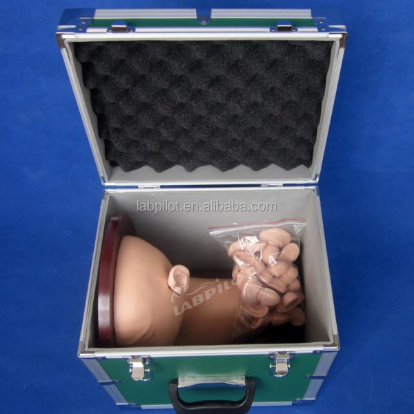 Medical Science Ear Diagnostic Training Model for Clinical Nursing Skills Education
