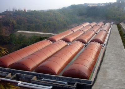 Customized Bio Digester Tank Improve The Environment Household Anaerobic Manure Digester