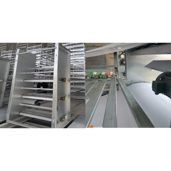 Шабер позема HDG автоматический, оборудование автоматизации птицы ISO9001 6mm