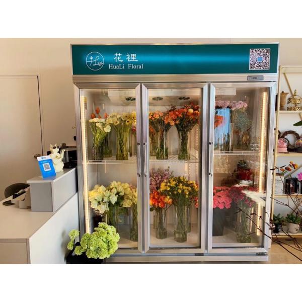 Вентиляторная система охлаждения климата коммерчески замораживателя двери свежего цветка стеклянного мульти-