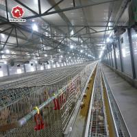 Levantamento de cultivo automático da galinha da gaiola da grelha de Chick Wire Bird Breeding Cages do bebê