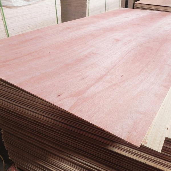 Eucalyptus Commercial Grade Plywood With Okoume Faced Standard Size