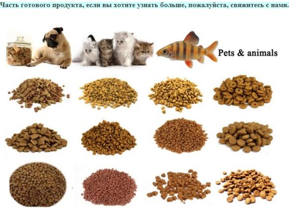 Durable Food Grade Stainless Steel Fish Feed Pellet Making Machine for Small Pet Food