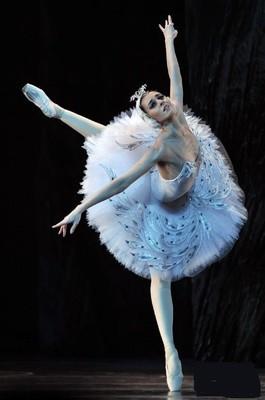 The new professional ballet veil swan lake ballet tutu costumes children condole belt sequins ballet dress