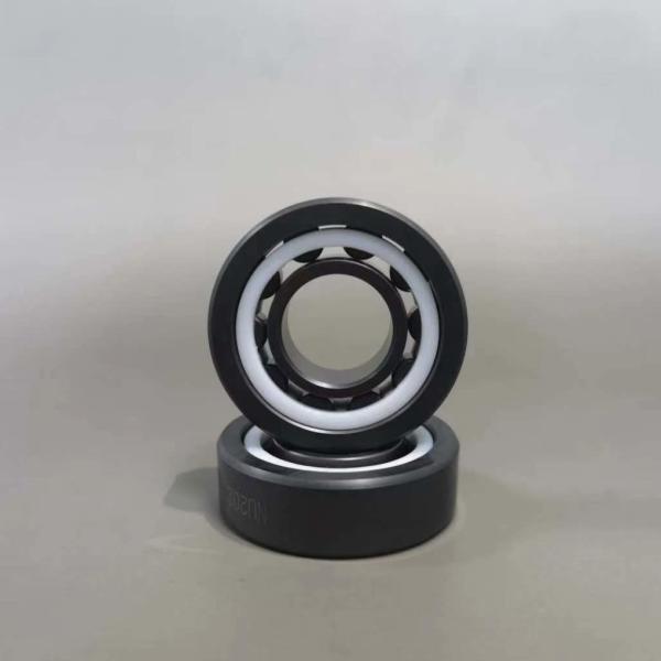 As bolas cerâmicas PTFE das raças de SSiC dos rolamentos de rolo do NU 205 NU 202 NU 206 prenderam