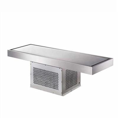 Stainless Steel Exterior Hotel Buffet Built-In Cold Plate Freezer Fresh Food Display Table Commercial Refrigeration Equipment