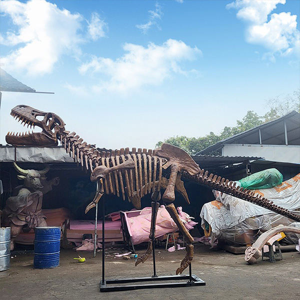 Artificial Life Size Largest Tyrannosaurus Rex Skeleton Fossil Model Dinosaur Skeleton Replica