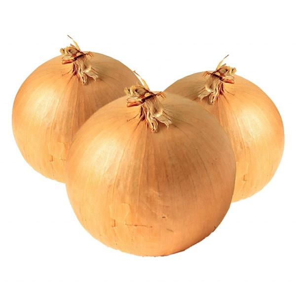 New crop of red shallot onion with low price for export Chinese onion
