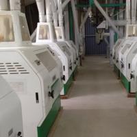 Molino harinero industrial de trigo del equipo 150 TPD del molino harinero del poder 560KW