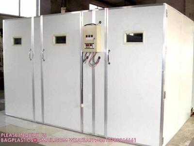 Electric Or Solar Incubator  Automatic Egg Incubator  Chicken Incubators Hatching Eggs