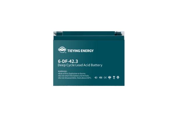 Tricycle électrique rechargeable 12v batterie au plomb 42.3Ah 6-DF-42.3