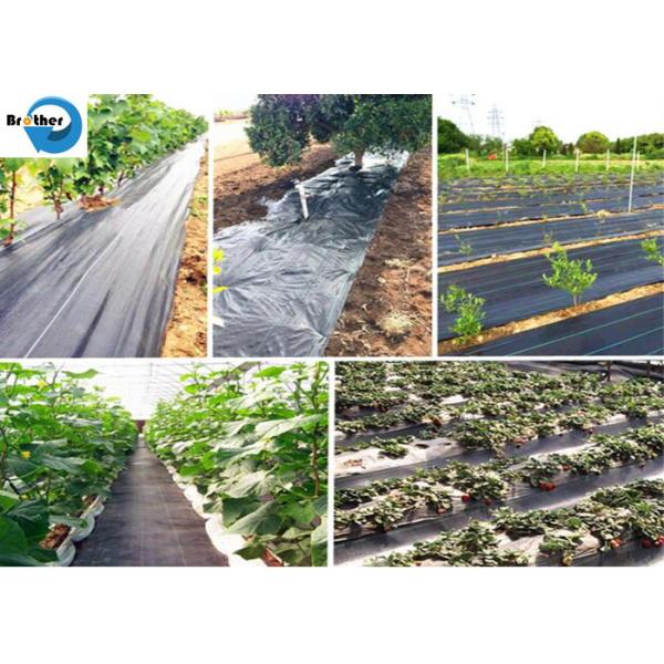 3.2m Agricultural Garden Plastic Woven Weed Control Mat Ground Cover Weed Barrier Fabric