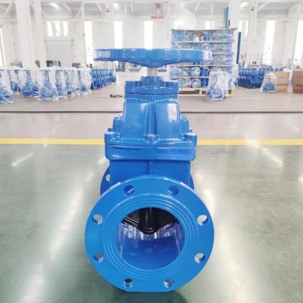 GGG40 PN16 Resilient Seated Gate Valve Exclusively Used For Drinking Water