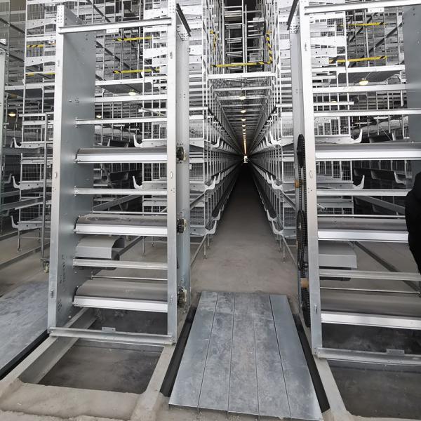 Tipo profundidade de limpeza de H da largura 30cm do equipamento 2.1m da exploração avícola da galinha