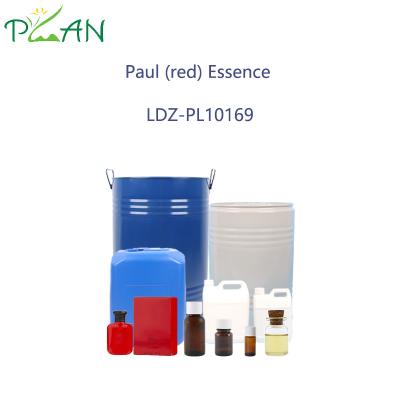 100% Concentrated Jean Paul Gaultier Le Male Essence Red Perfume Fragrances For Perfume Making Purity