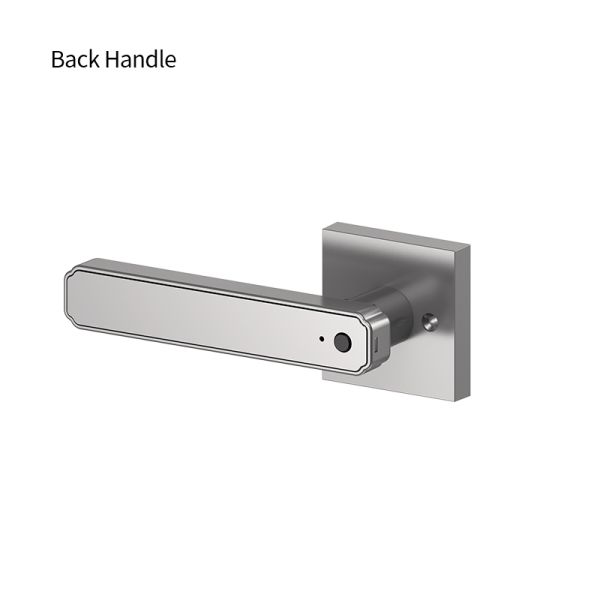 Tuya Smart Lock with Fingerprint & Password Entry Aluminum Alloy Electronic Keypad & Auto Lock Handle for Secure Door Access