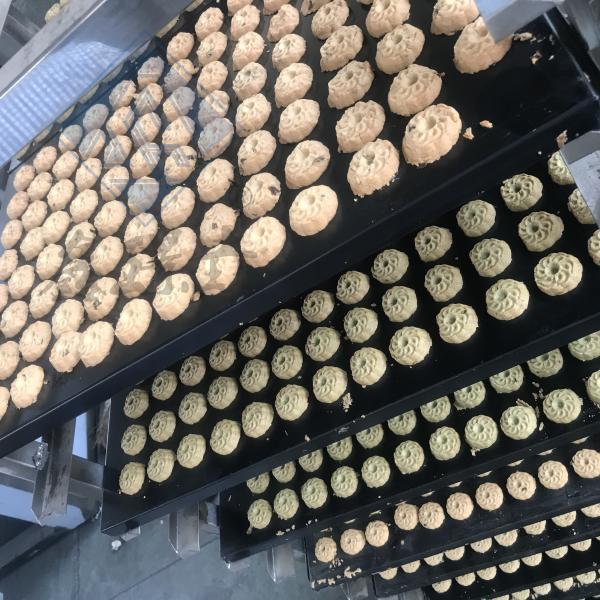 Industrial Walnut Soft Biscuit Forming Machine with 400 Models and 40x60cm Tray