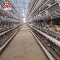Multiplication des oiseaux de la cage 126 de poulet de batterie/de équipement complètement automatique réglé