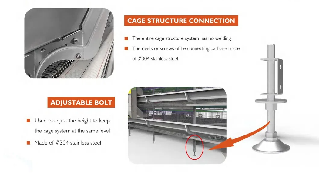 Galvanized Steel Automatic Chicken Cage with Adjustable Ventilation System for Low Maintenance Poultry Farming