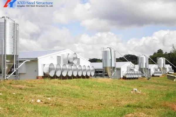 Prefab Steel Structure Broiler Chicken Shed with Onsite Installation