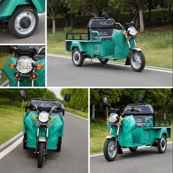 2000W Sidecar Adult Electric Tricycles
