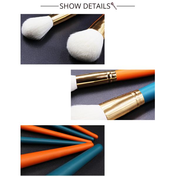 Skin Friendly 6pcs Facial Makeup Brushes Easy Powder Absorbtion
