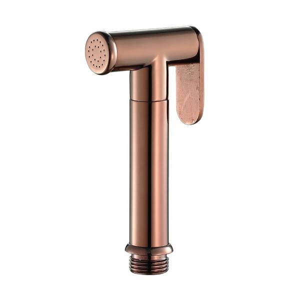 Lizhen-Hwa.Vic Rose Gold Toilet Bidet Set with 1.5m Stainless Steel Hose Modern Style