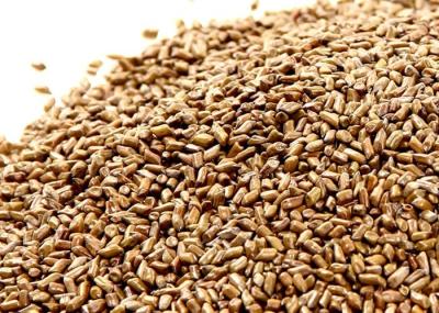 Chinese Loose Herb Tea Roasted Seeds And Nuts Cassia Seed For Weight Loss