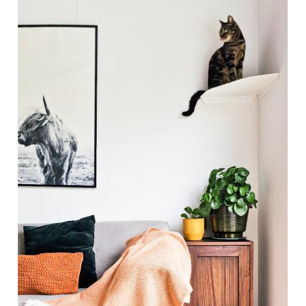 Современный металлический кошачий комната настенное сиденье с штамповыми частями установка настенная установка предварительная сверла