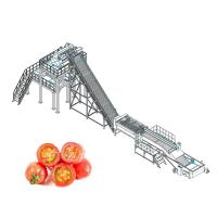 Chaîne de fabrication de la tomate ISO9001 fraîche pour la pâte concentrée