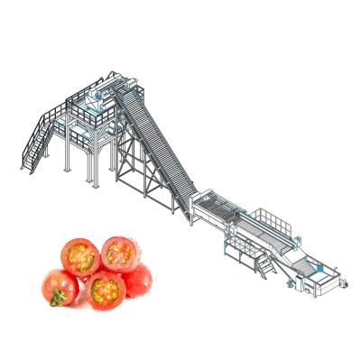 Linha de processamento fresca do tomate ISO9001 para a pasta concentrada